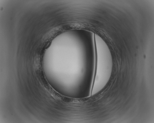 X0000087700416200705040856