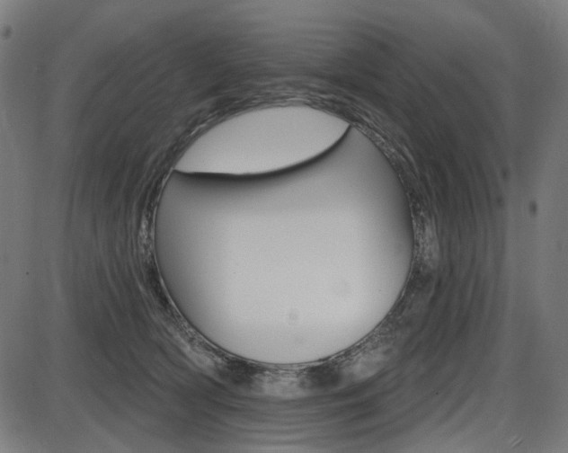 X0000087700418200705040856
