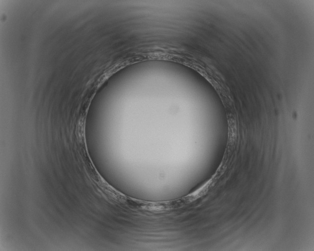 X0000087700419200705040856