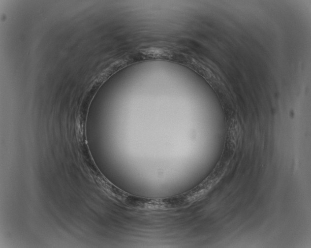 X0000087700420200705040856