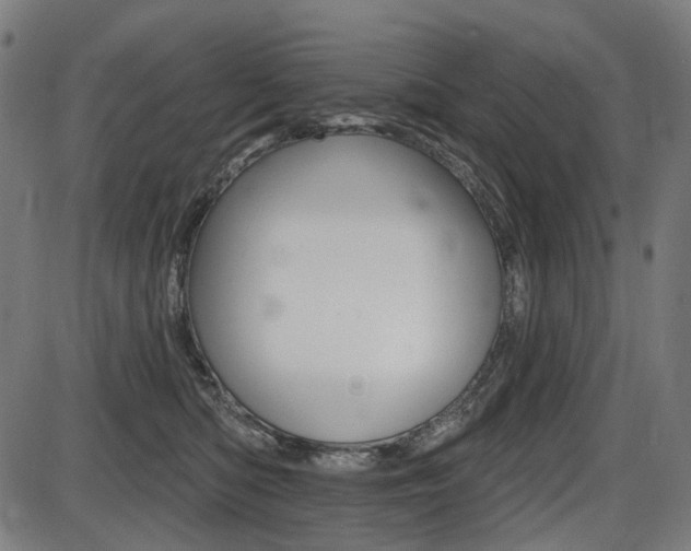X0000087700422200705040856