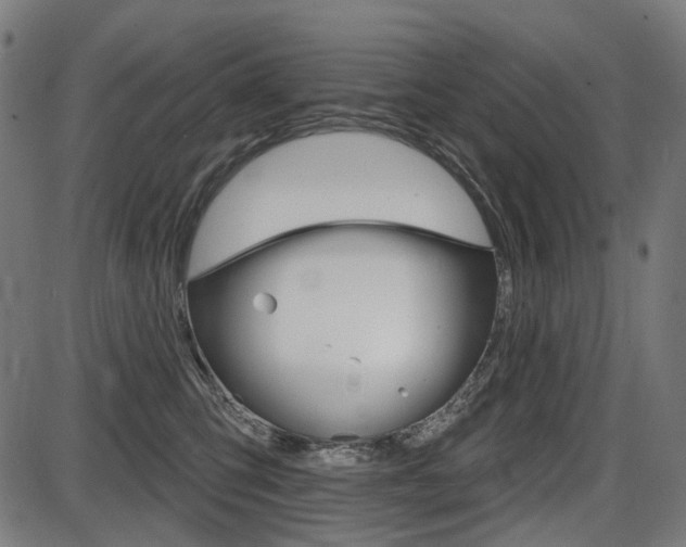 X0000087700423200705040856