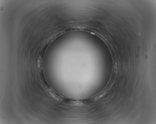 X0000087700424200705040856