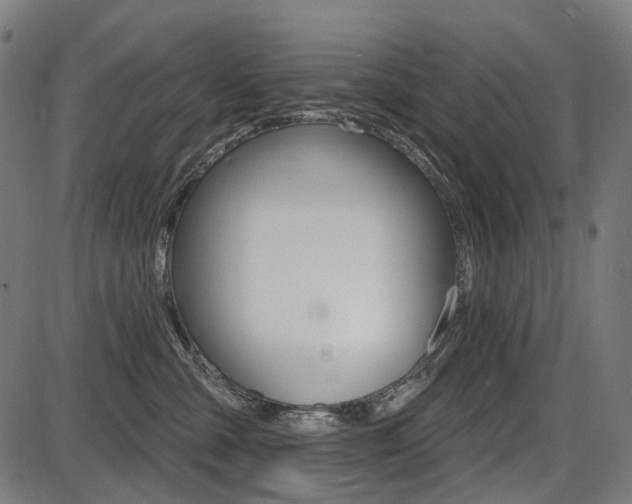 X0000087700427200705040856