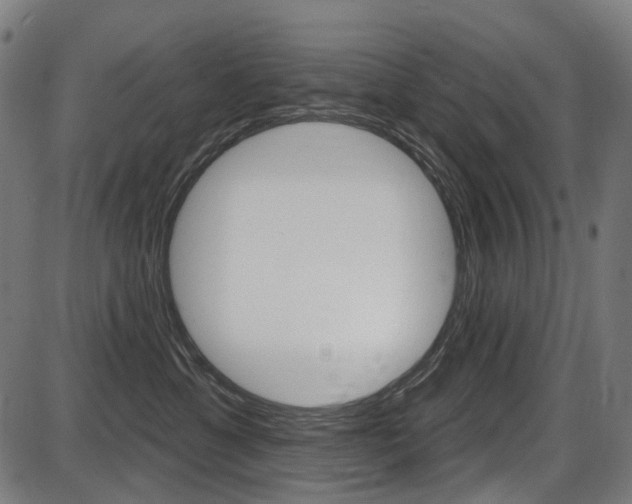 X0000087700429200705040856