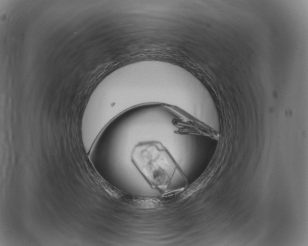 X0000087700432200705040856