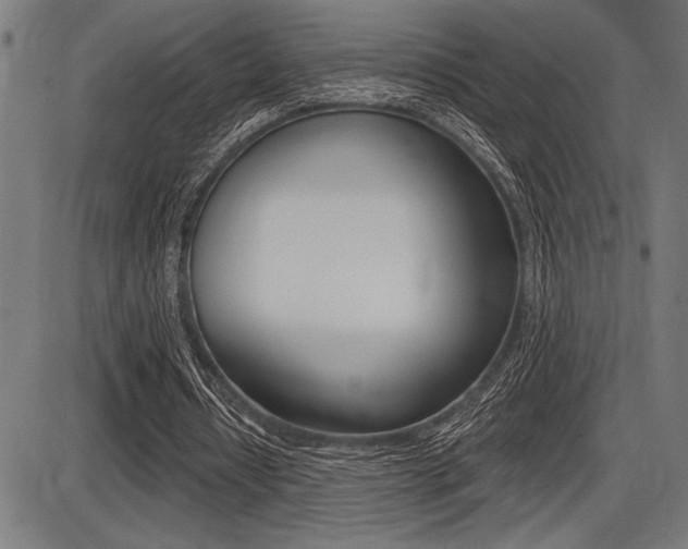 X0000087700434200705040855