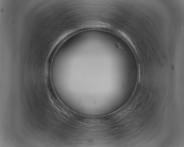 X0000087700435200705040855