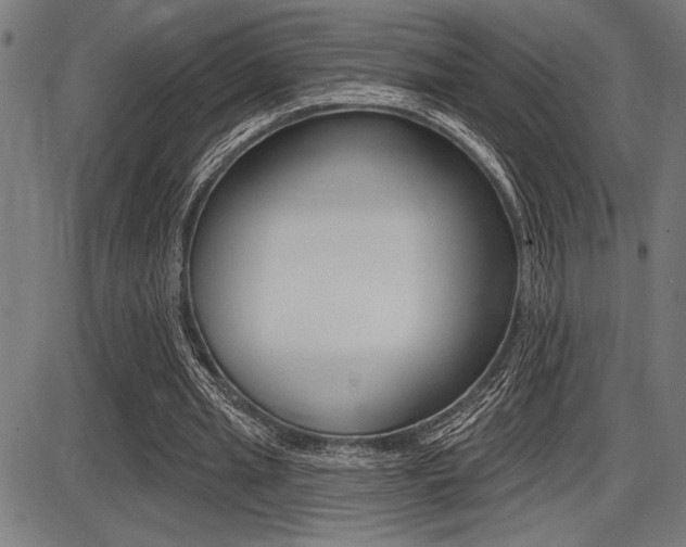 X0000087700437200705040855