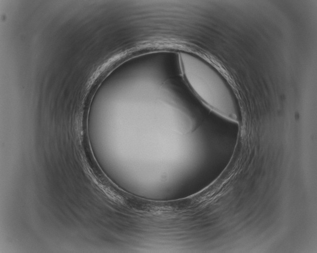 X0000087700438200705040855