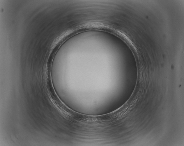 X0000087700439200705040855