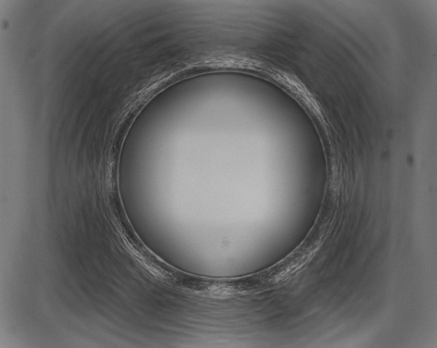 X0000087700441200705040855