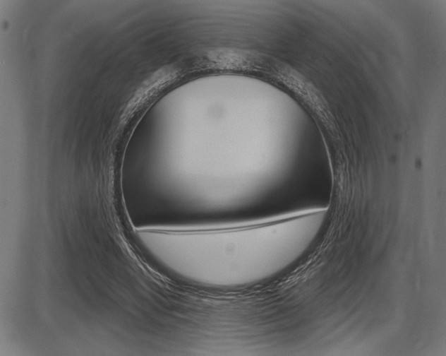 X0000087700442200705040855