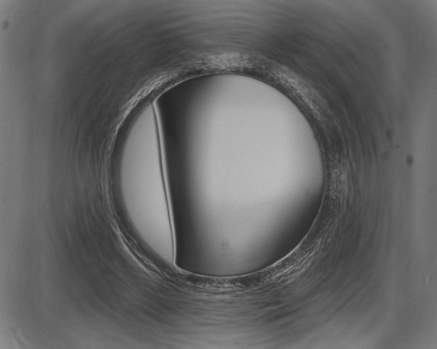 X0000087700443200705040855