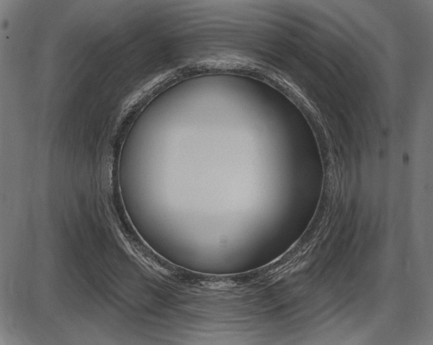 X0000087700446200705040855