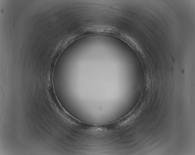 X0000087700453200705040855