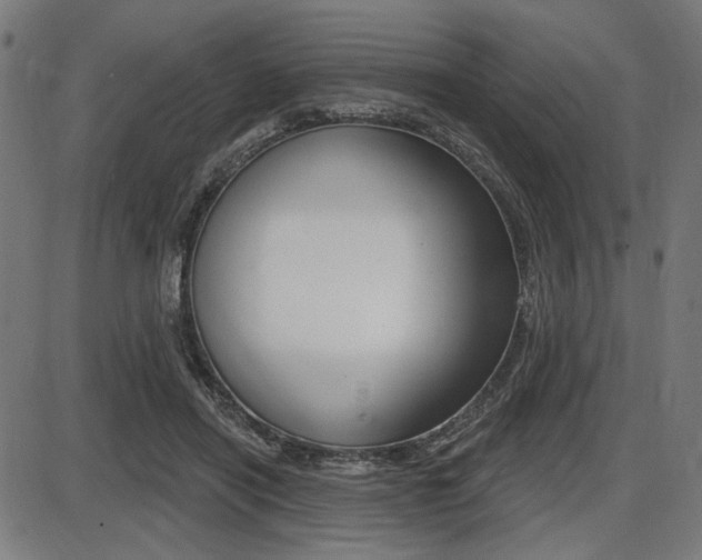 X0000087700454200705040855