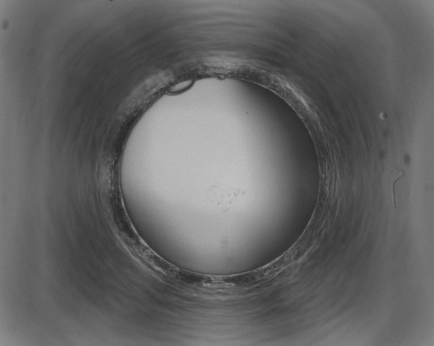 X0000087700455200705040855