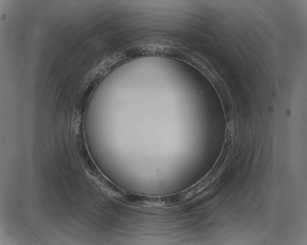 X0000087700458200705040855