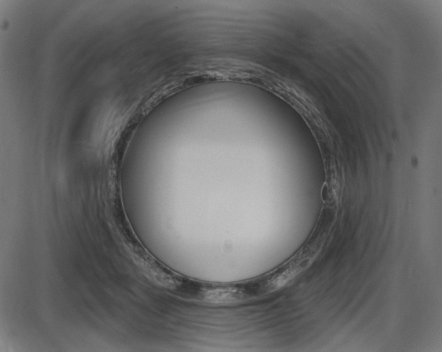 X0000087700461200705040855