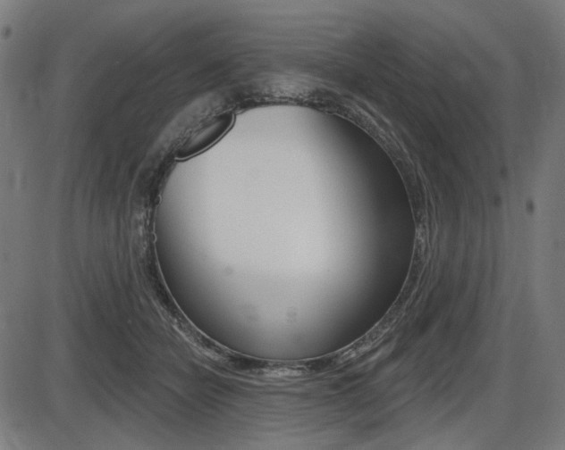 X0000087700462200705040855