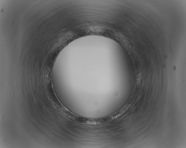 X0000087700464200705040855
