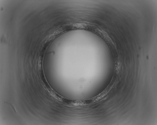 X0000087700466200705040855