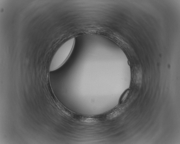 X0000087700467200705040855