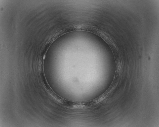 X0000087700470200705040855