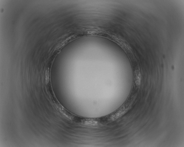 X0000087700471200705040856