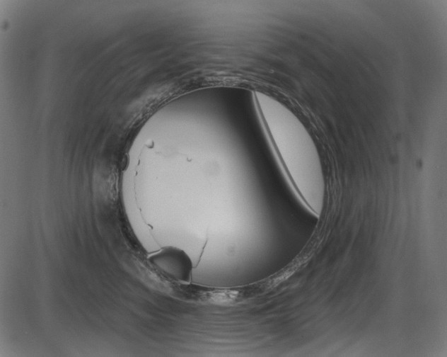X0000087700474200705040856