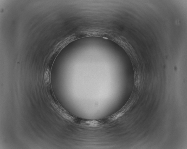 X0000087700478200705040856