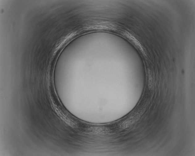 X0000087700482200705040855