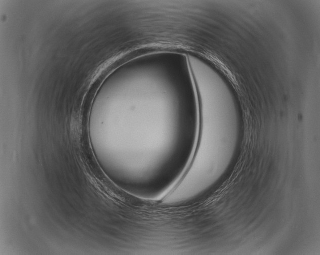 X0000087700484200705040855