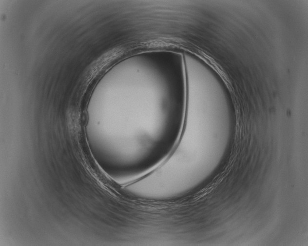 X0000087700485200705040855