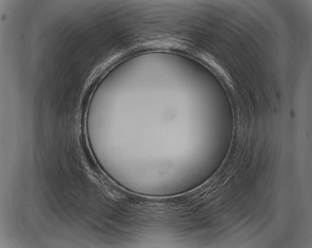 X0000087700486200705040855