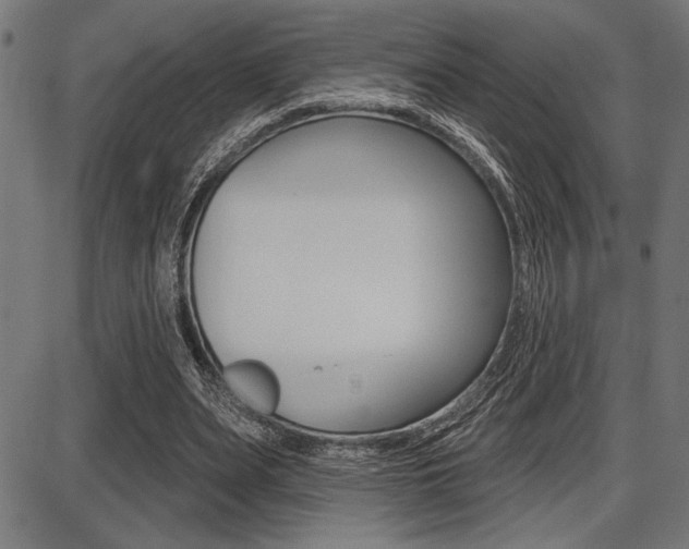 X0000087700487200705040855