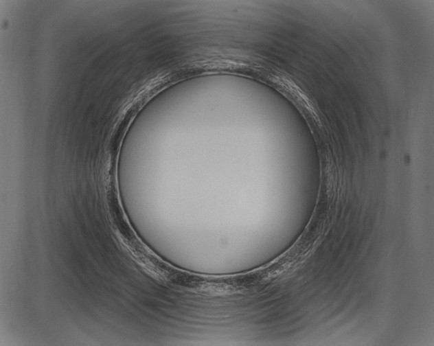 X0000087700490200705040855