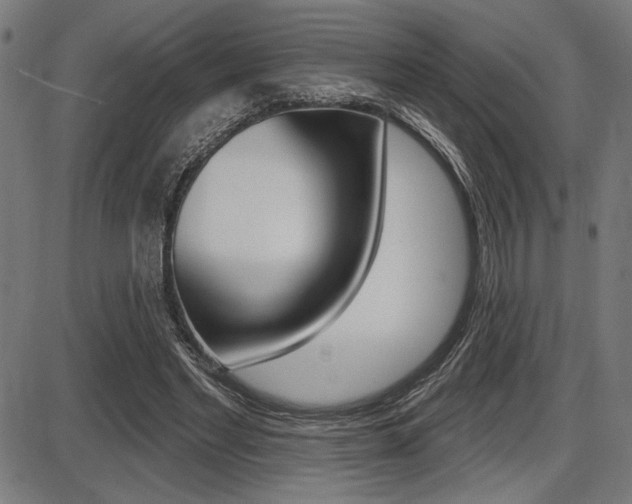 X0000087700493200705040855