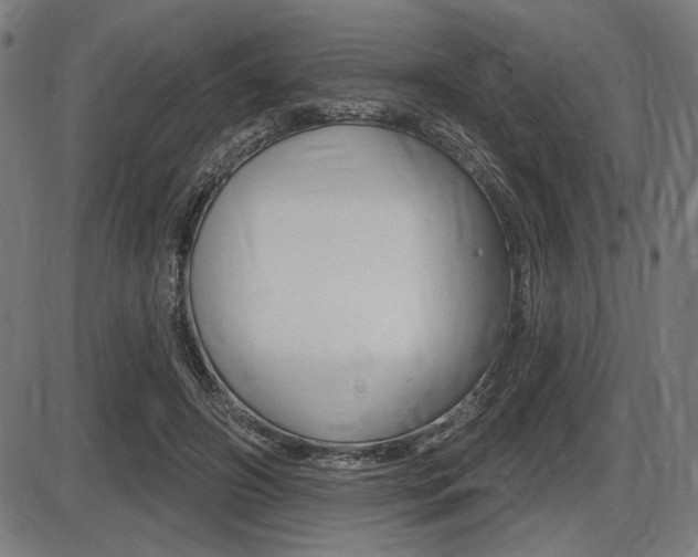 X0000087700498200705040855