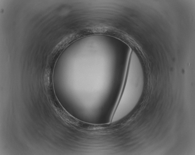 X0000087700501200705040855