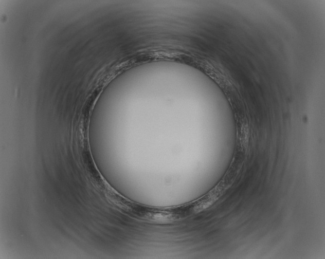 X0000087700506200705040854