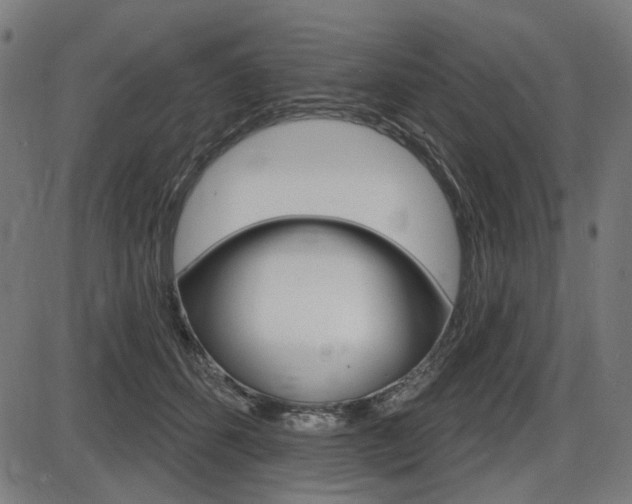 X0000087700512200705040854