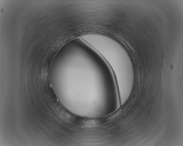 X0000087700513200705040854