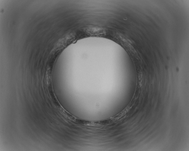 X0000087700515200705040854