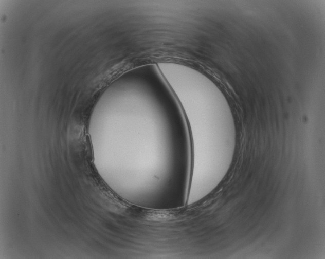 X0000087700521200705040854