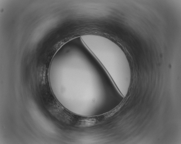 X0000087700525200705040854