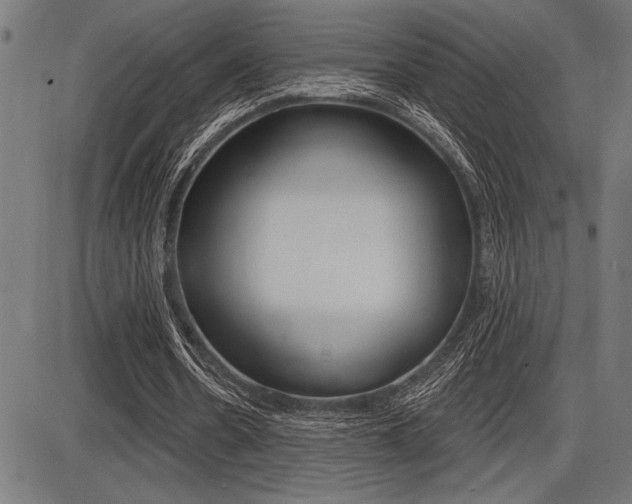 X0000087700530200705040853
