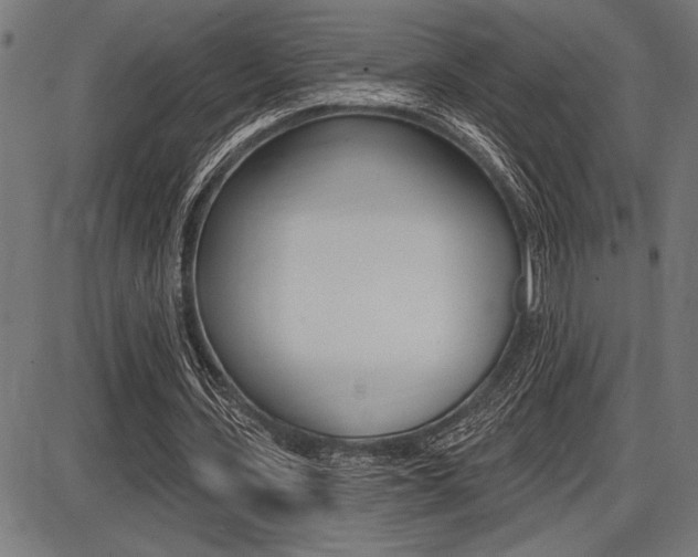 X0000087700531200705040853