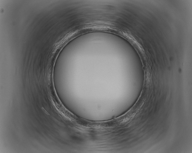 X0000087700533200705040853